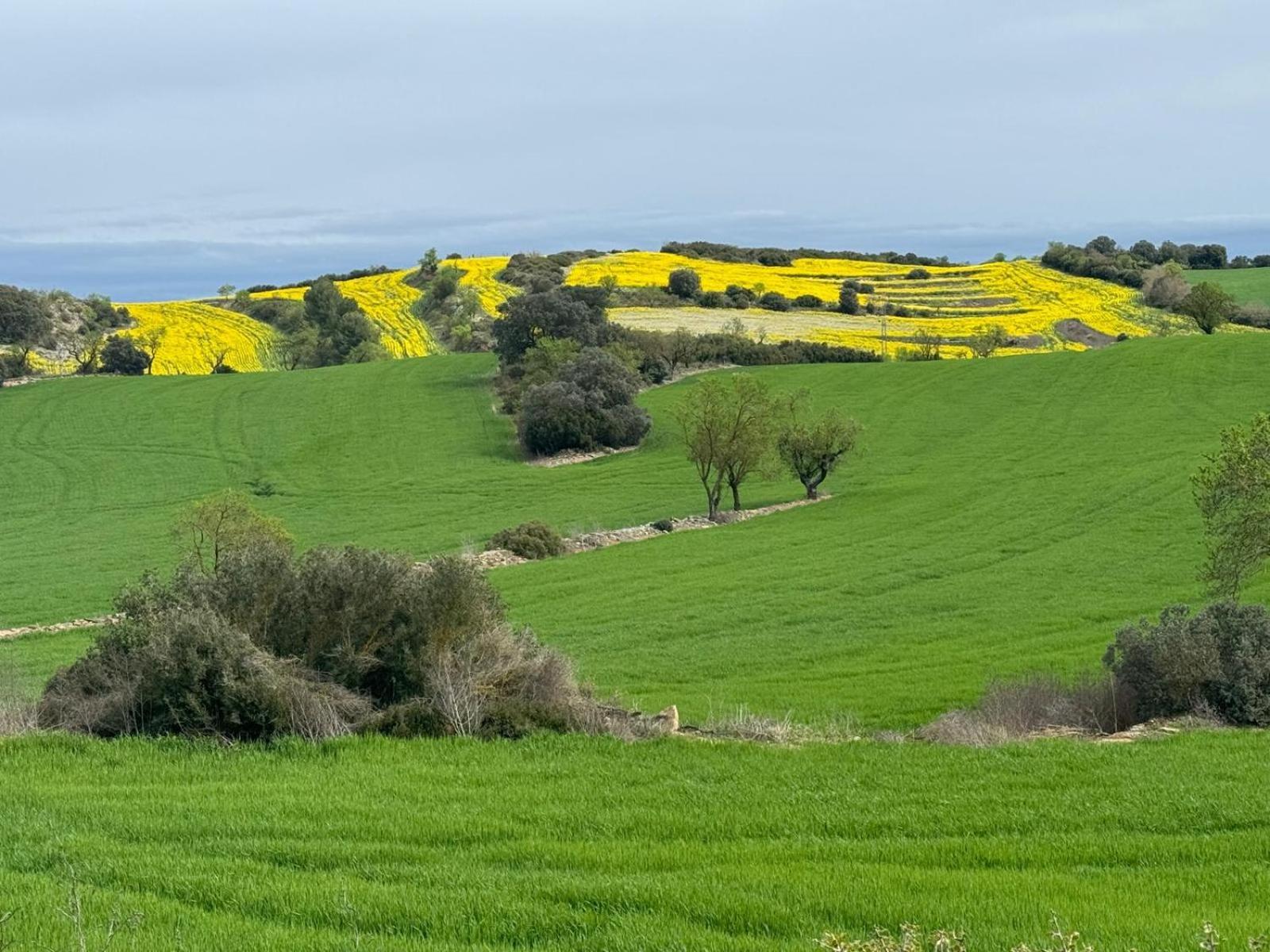 Concabella Masia De Queralt Luxury Casa Rural Spa Y Vistas מראה חיצוני תמונה