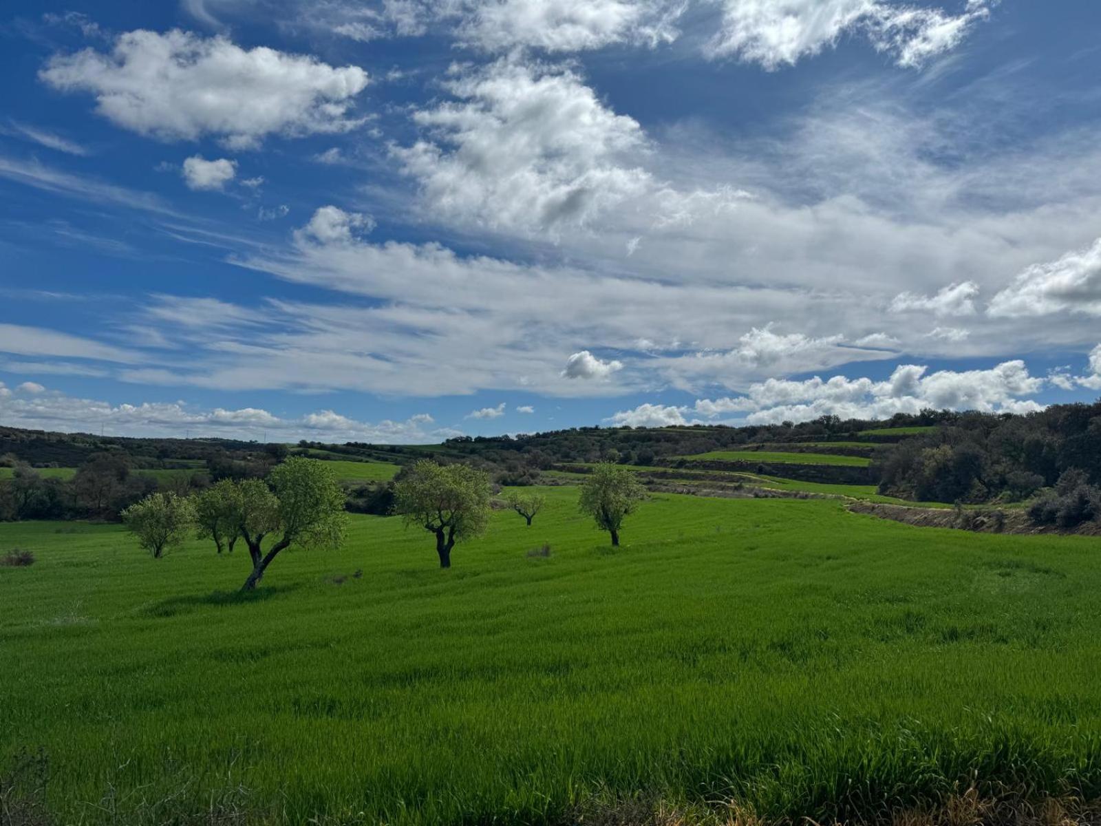 Concabella Masia De Queralt Luxury Casa Rural Spa Y Vistas מראה חיצוני תמונה